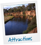 Attractions